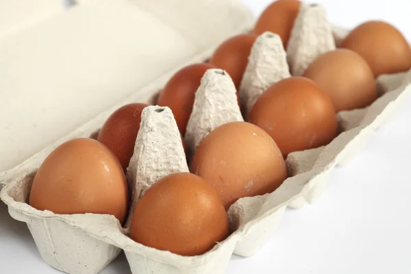 Close-up van open ei doos met eieren — Stockfoto