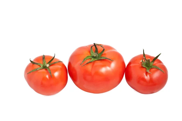 Üç olgun kırmızı domates — Stok fotoğraf
