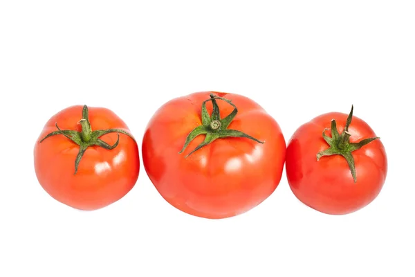 Três tomates vermelhos maduros — Fotografia de Stock