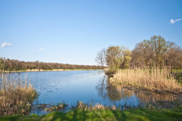 Landscape with lake — Stock Photo, Image