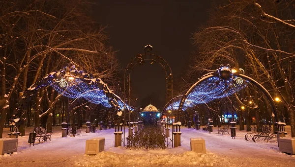 Dekoreret vinter bypark - Stock-foto