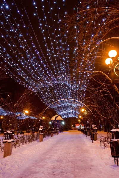 Parque da cidade de inverno decorado — Fotografia de Stock
