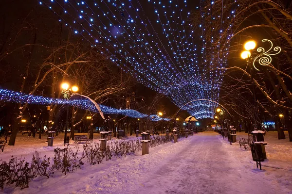 Parque da cidade de inverno decorado — Fotografia de Stock