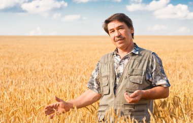 Bir buğday tarlasında duran çiftçi