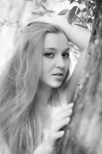 Flicka i en skogsdunge ser raka — Stockfoto