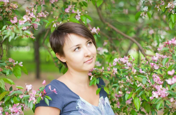 Girl in the flowers of the apricot tree — Stock Photo, Image