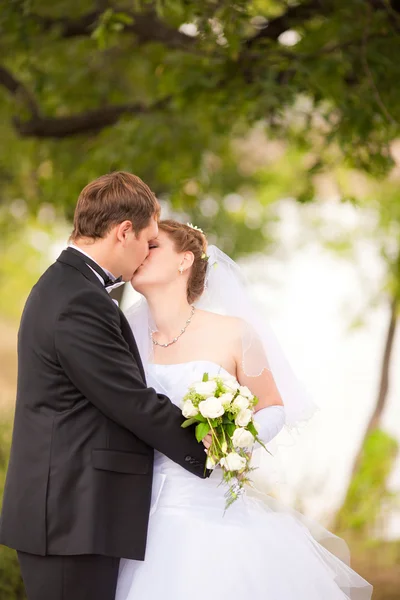 Одружена пара цілується в парку — стокове фото