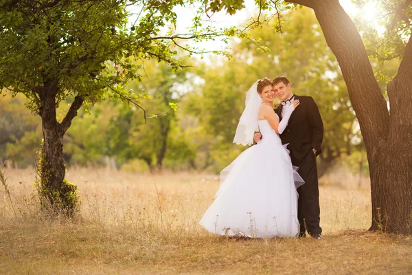 Romantische bruidspaar — Stockfoto