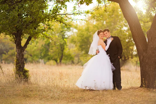 Romantic wedding couple — Stock Photo, Image