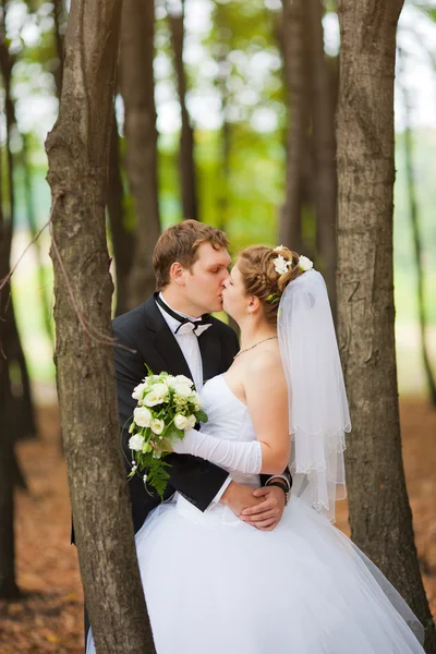 Pareja casada besándose en parque — Foto de Stock