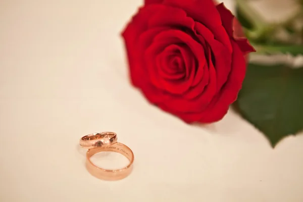 Roses and golden rings — Stock Photo, Image