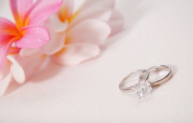 Two wedding rings laying on wedding dress clipart