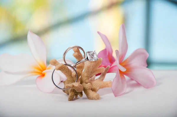 Dos anillos de boda en coral frente al mar —  Fotos de Stock