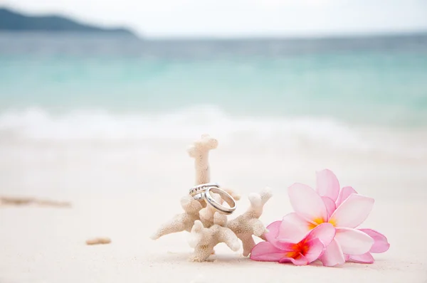 珊瑚在海边上的两个结婚戒指。 — 图库照片