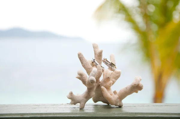 珊瑚在海边上的两个结婚戒指。 — 图库照片