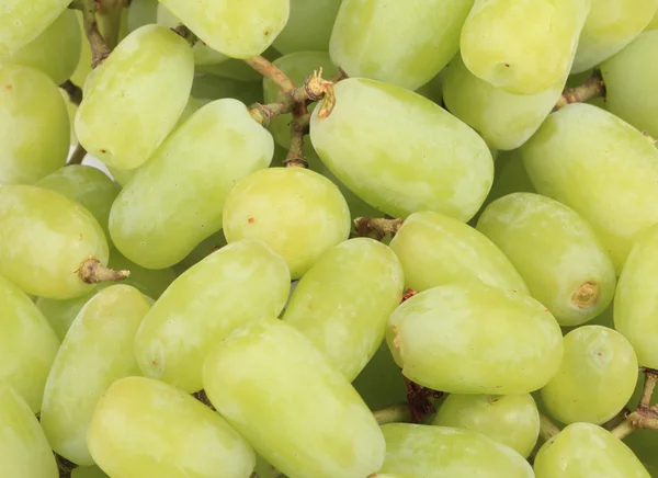 stock image Green grapes