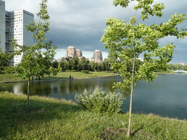 Sommar i stadsparken på dagen — Stockfoto