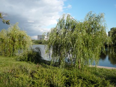 Şehir parkında yaz