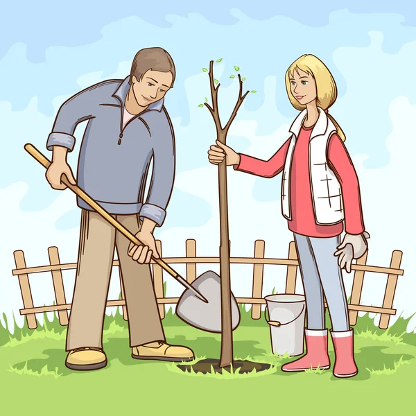 Planting av trær – stockvektor