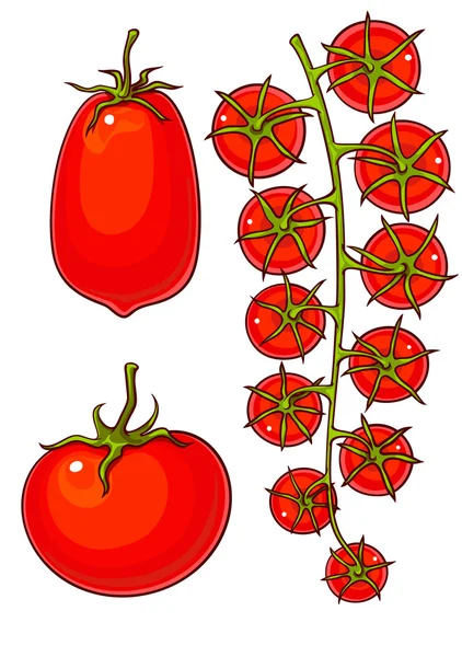 Tomates e cereja —  Vetores de Stock