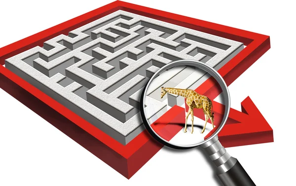 Labyrint och giraff — Stockfoto