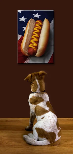 Puppy en de hotdog. — Stok fotoğraf