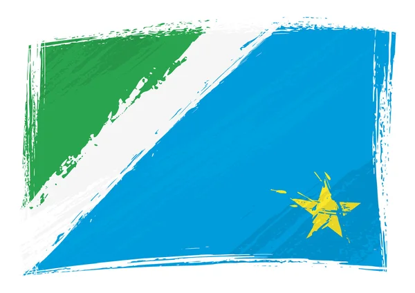 Grunge Mato Grosso do Sul drapeau — Image vectorielle