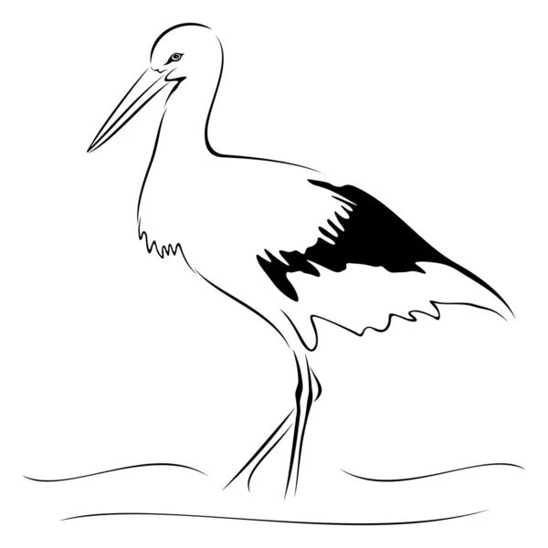 Stork on sketch — Stock Vector