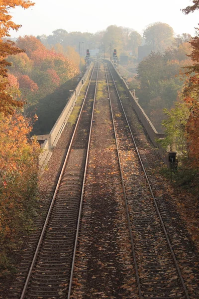 桥上的铁路 — 图库照片