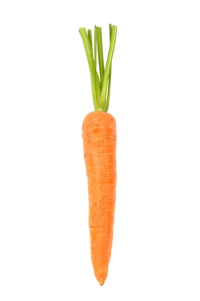 Carrot on White — Stock Photo, Image