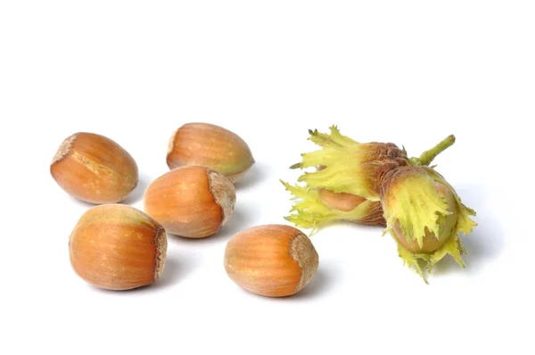 Hazelnut di atas putih — Stok Foto