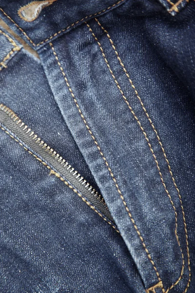 stock image Fly front of blue jeans