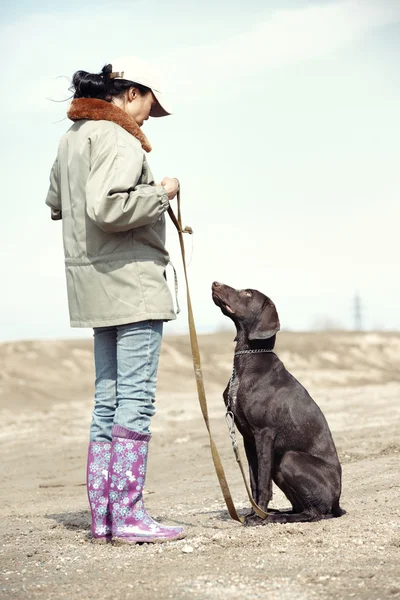 Köpek eğitimi — Stok fotoğraf