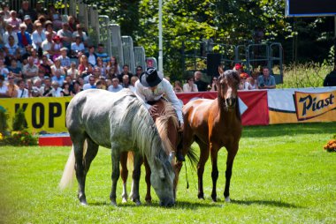 Horse whisperer in strzegom at HSBC FEI World Cup 2009 clipart