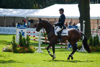 strzegom hsbc fei Dünya Kupası 2009 turnuva jumping horse