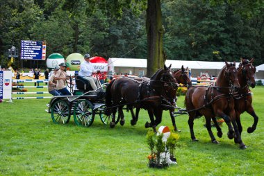 Carriage drive show in strzegom at HSBC FEI World Cup 2009 clipart