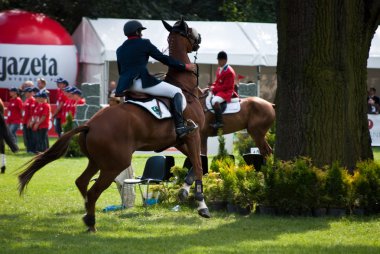 strzegom hsbc fei Dünya Kupası 2009 turnuva jumping horse