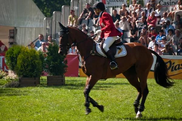 Kůň vyskočil turnaj v strzegom hsbc fei mistrovství světa 2009 — Stock fotografie