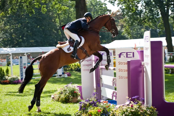 Horse jumping tournament in strzegom at HSBC FEI World Cup 2009 — Stock Photo, Image
