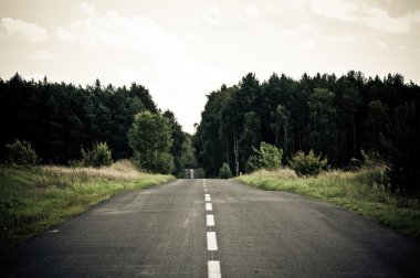 Empty asphalt road across the forest to horizon clipart