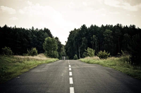 Prázdné asfaltové silnici přes les na obzoru — Stock fotografie