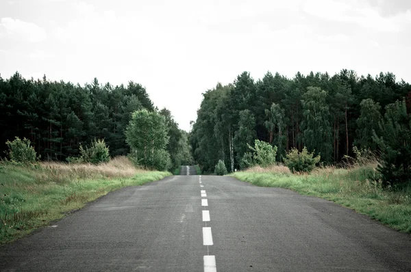 Ufuk için orman genelinde boş asfalt yol — Stok fotoğraf