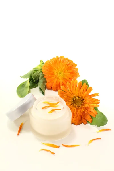 Calendula ointment with flowers and petals — Stock Photo, Image