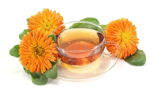 Fresh Marigold tea — Stock Photo, Image
