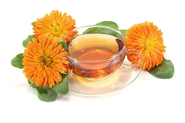 Stock image Fresh Marigold tea