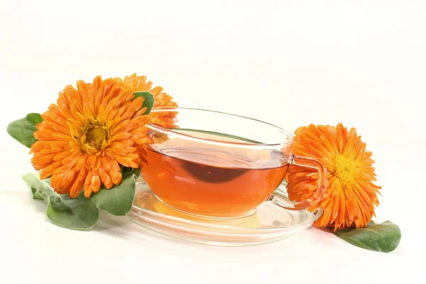 stock image Fresh Marigold tea with flowers