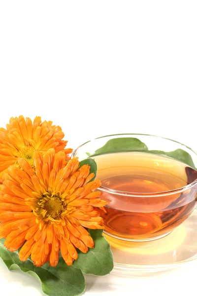 Marigold tea with flowers and leaves — Stock Photo, Image