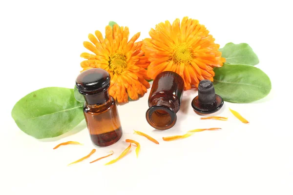 Marigold tincture with petals — Stock Photo, Image