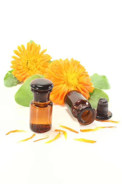 Marigold tincture with fresh flowers — Stock Photo, Image