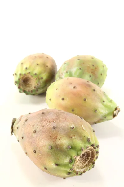 Four Prickly pear — ストック写真